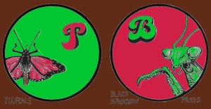 pluralsbspEXAMPLECOLOR